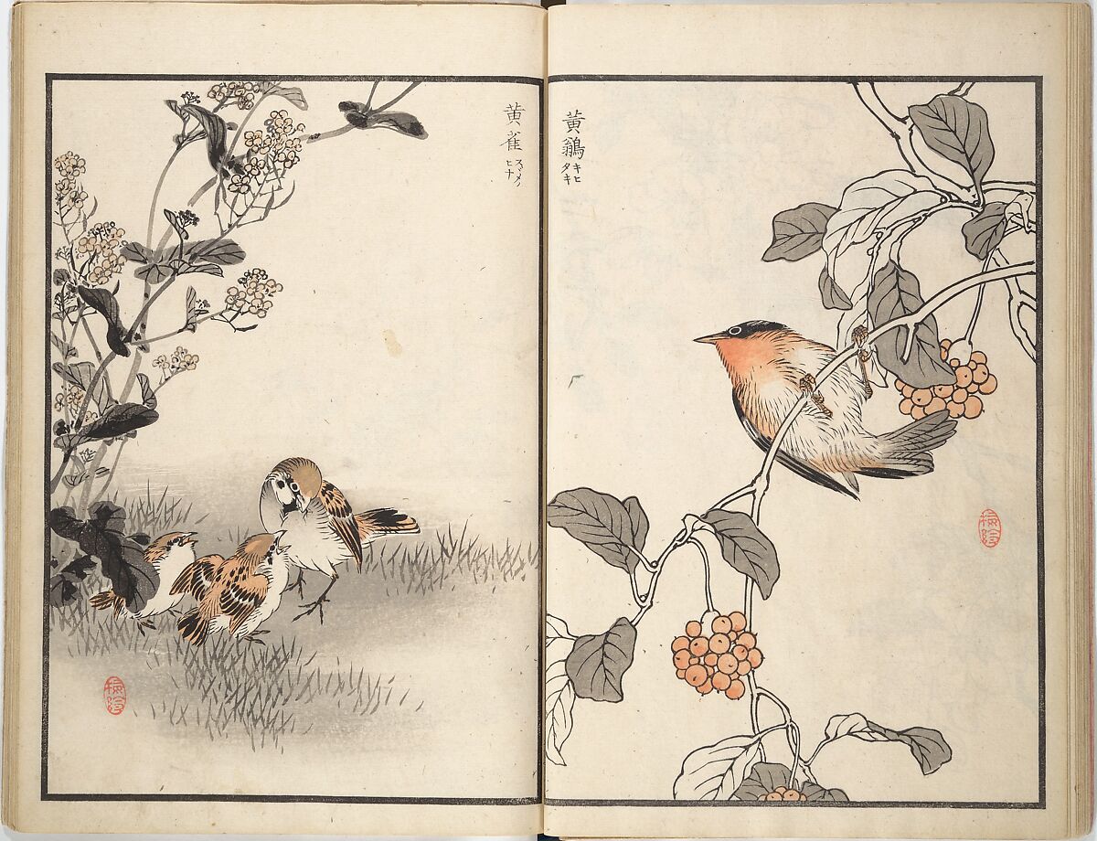Bairei Picture Album of One Hundred Birds (Bairei hyakuchō gafu) 楳嶺百鳥畫譜, Kōno Bairei (Japanese, 1844–1895), Set of three woodblock printed books; ink and color on paper, Japan