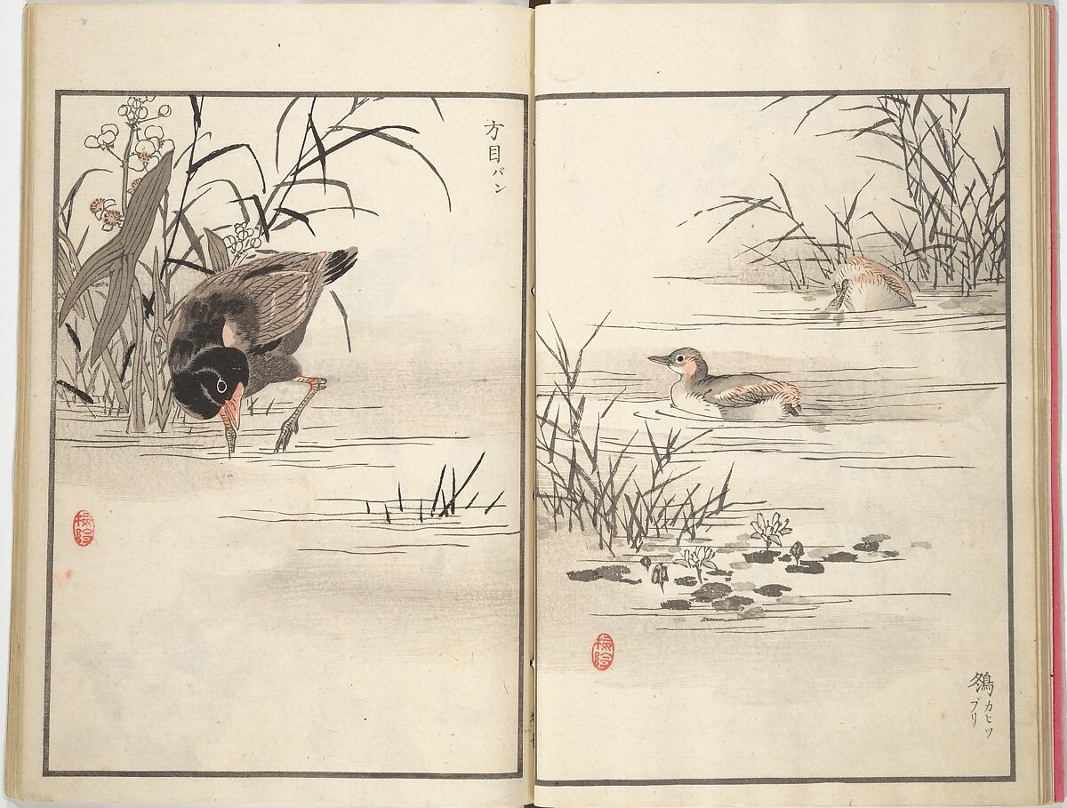 Bairei Picture Album of One Hundred Birds (Bairei hyakuchō gafu) 楳嶺百鳥畫譜, Kōno Bairei (Japanese, 1844–1895), Set of three woodblock printed books; ink and color on paper, Japan