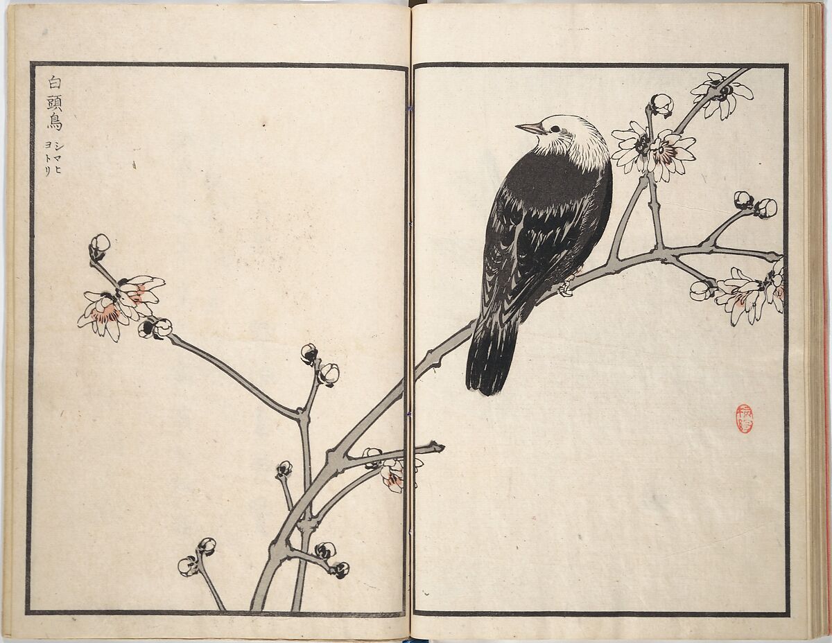 Bairei Picture Album of One Hundred Birds (Bairei hyakuchō gafu) 楳嶺百鳥畫譜, Kōno Bairei (Japanese, 1844–1895), Set of three woodblock printed books; ink and color on paper, Japan