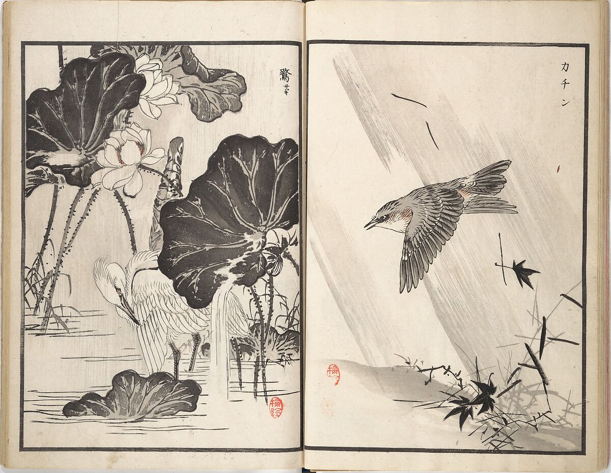 Bairei Picture Album of One Hundred Birds (Bairei hyakuchō gafu) 楳嶺百鳥畫譜, Kōno Bairei (Japanese, 1844–1895), Set of three woodblock printed books; ink and color on paper, Japan