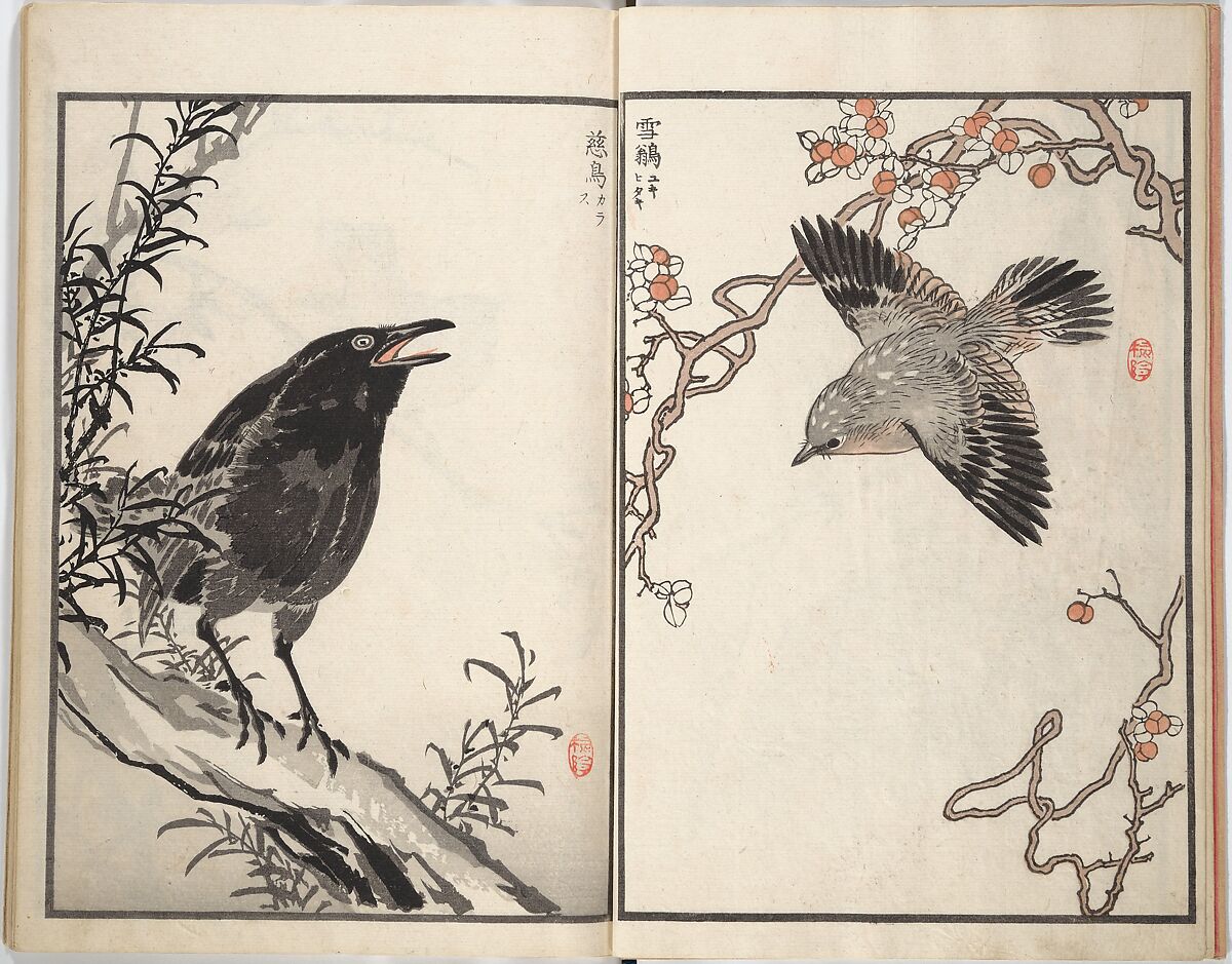 Bairei Picture Album of One Hundred Birds (Bairei hyakuchō gafu) 楳嶺百鳥畫譜, Kōno Bairei (Japanese, 1844–1895), Set of three woodblock printed books; ink and color on paper, Japan