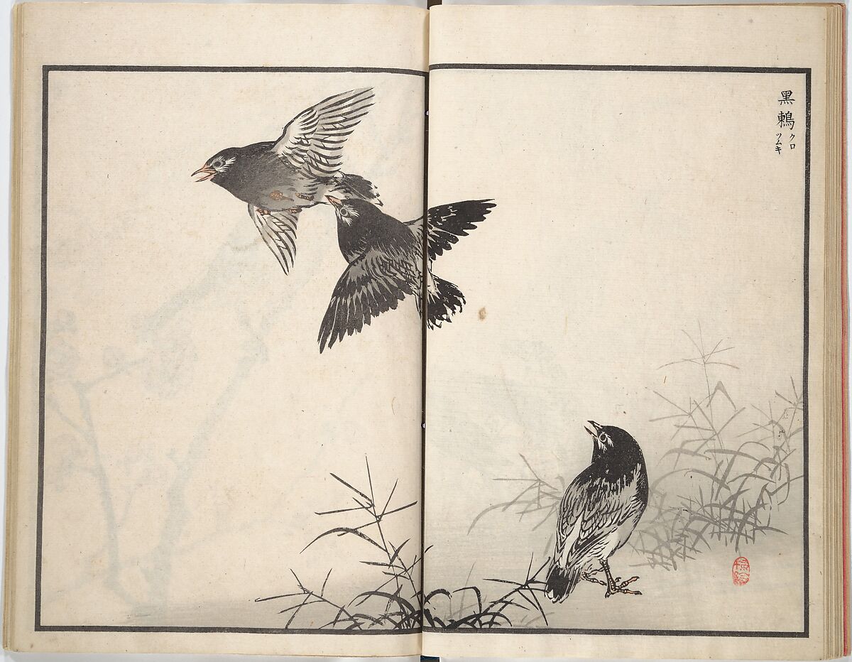Bairei Picture Album of One Hundred Birds (Bairei hyakuchō gafu) 楳嶺百鳥畫譜, Kōno Bairei (Japanese, 1844–1895), Set of three woodblock printed books; ink and color on paper, Japan