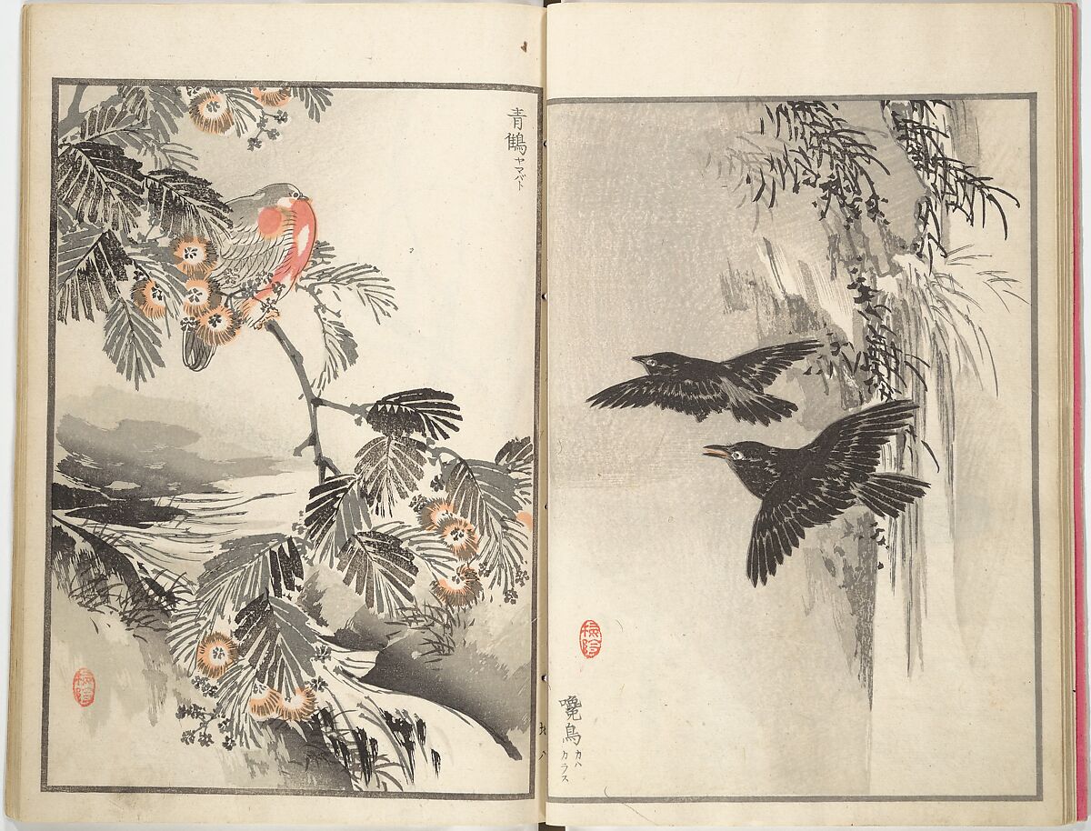 Bairei Picture Album of One Hundred Birds (Bairei hyakuchō gafu) 楳嶺百鳥畫譜, Kōno Bairei (Japanese, 1844–1895), Set of three woodblock printed books; ink and color on paper, Japan