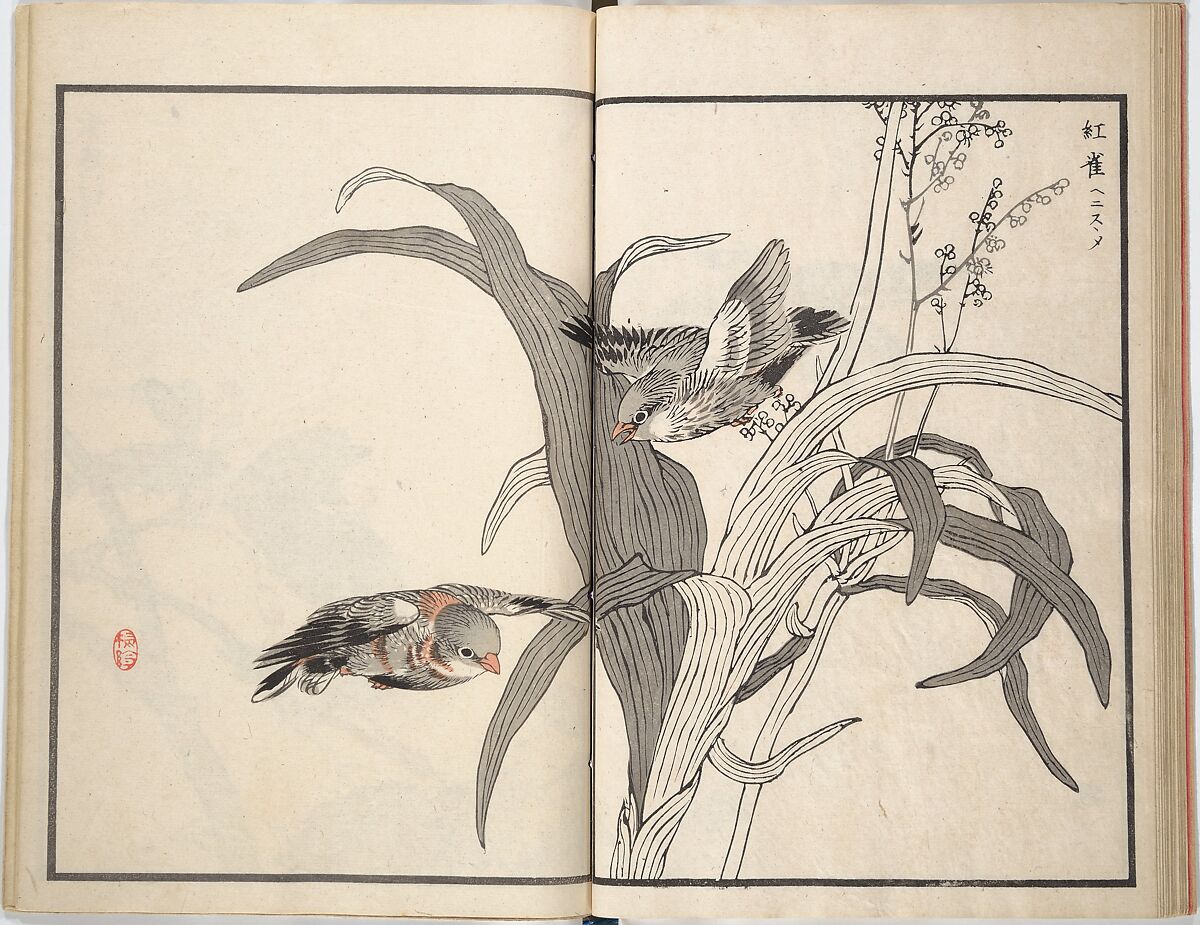 Bairei Picture Album of One Hundred Birds (Bairei hyakuchō gafu) 楳嶺百鳥畫譜, Kōno Bairei (Japanese, 1844–1895), Set of three woodblock printed books; ink and color on paper, Japan