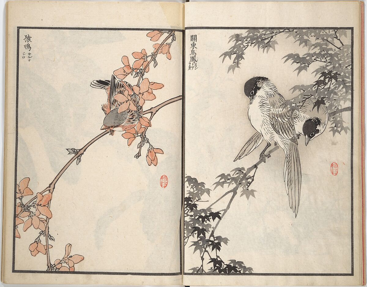 Bairei Picture Album of One Hundred Birds (Bairei hyakuchō gafu) 楳嶺百鳥畫譜, Kōno Bairei (Japanese, 1844–1895), Set of three woodblock printed books; ink and color on paper, Japan