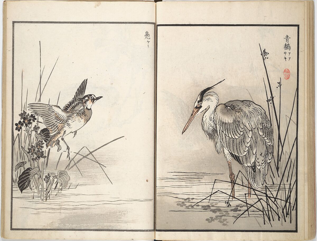 Bairei Picture Album of One Hundred Birds (Bairei hyakuchō gafu) 楳嶺百鳥畫譜, Kōno Bairei (Japanese, 1844–1895), Set of three woodblock printed books; ink and color on paper, Japan