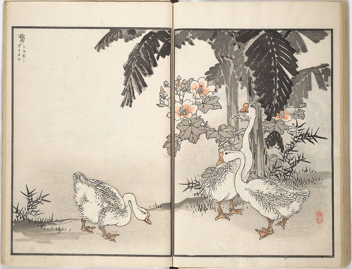 Bairei Picture Album of One Hundred Birds (Bairei hyakuchō gafu) 楳嶺百鳥畫譜, Kōno Bairei (Japanese, 1844–1895), Set of three woodblock printed books; ink and color on paper, Japan