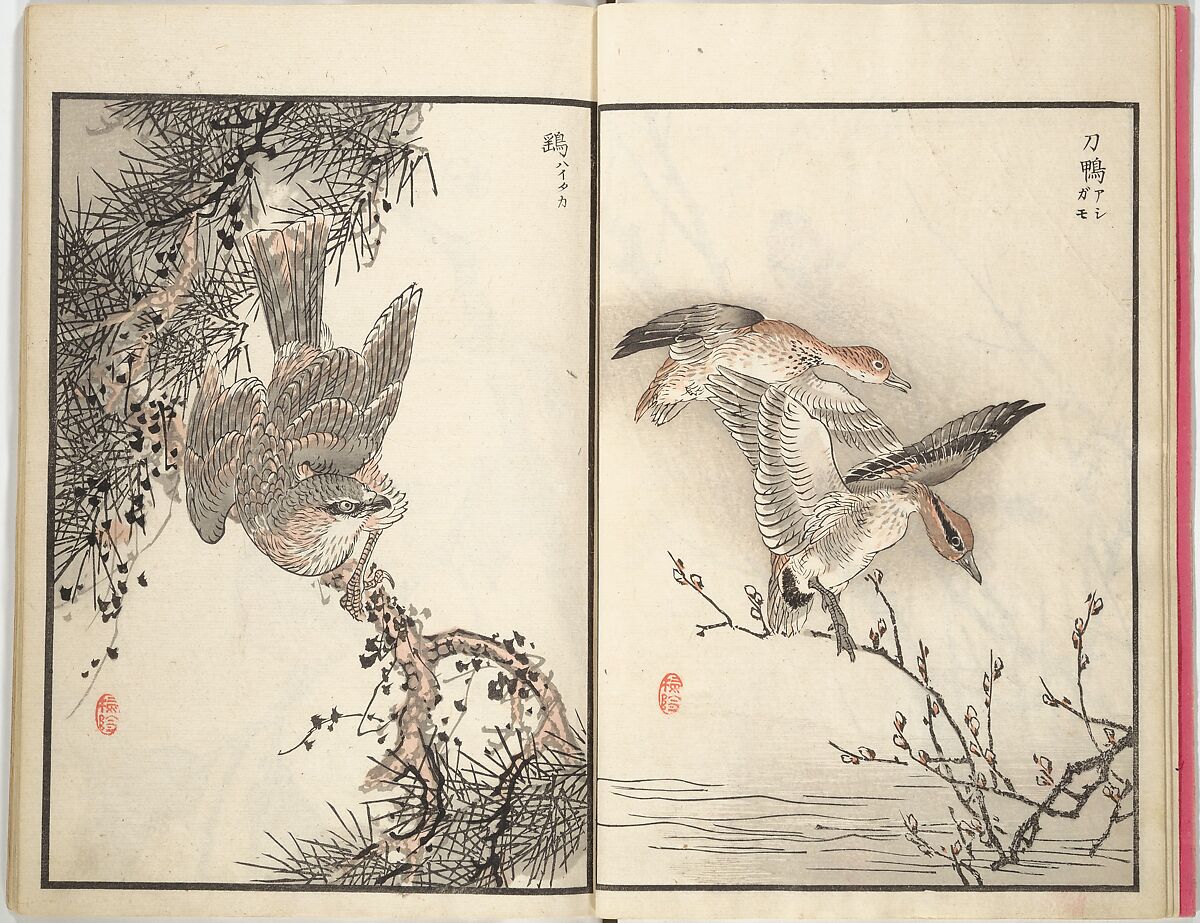 Bairei Picture Album of One Hundred Birds (Bairei hyakuchō gafu) 楳嶺百鳥畫譜, Kōno Bairei (Japanese, 1844–1895), Set of three woodblock printed books; ink and color on paper, Japan