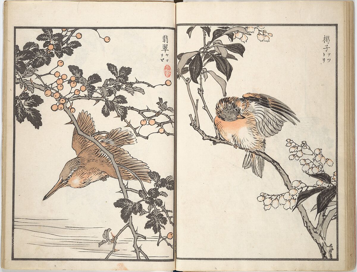 Bairei Picture Album of One Hundred Birds (Bairei hyakuchō gafu) 楳嶺百鳥畫譜, Kōno Bairei (Japanese, 1844–1895), Set of three woodblock printed books; ink and color on paper, Japan