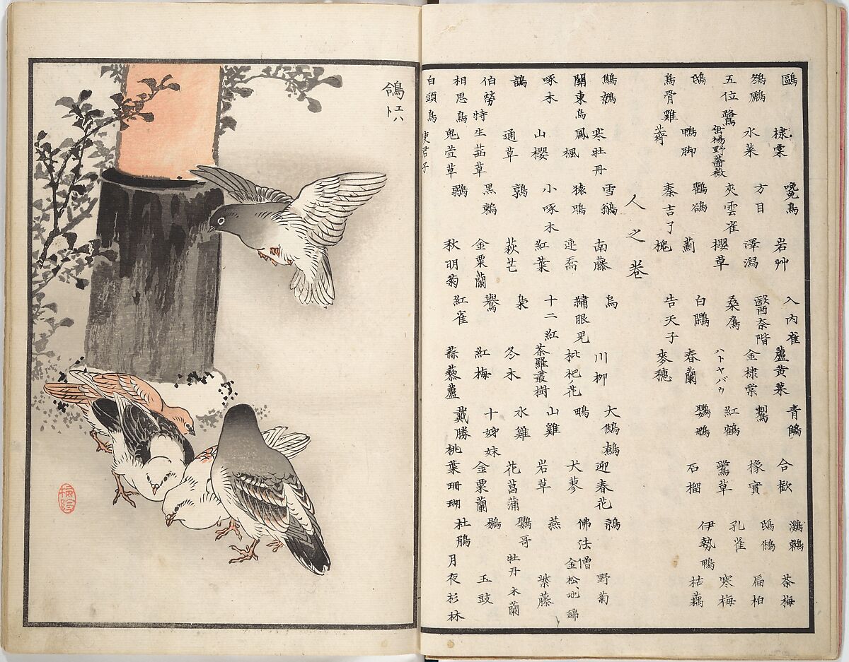 Bairei Picture Album of One Hundred Birds (Bairei hyakuchō gafu) 楳嶺百鳥畫譜, Kōno Bairei (Japanese, 1844–1895), Set of three woodblock printed books; ink and color on paper, Japan