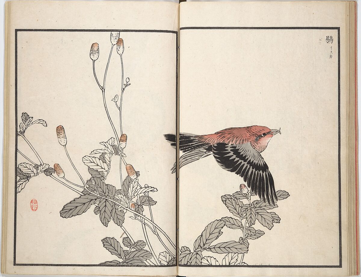 Bairei Picture Album of One Hundred Birds (Bairei hyakuchō gafu) 楳嶺百鳥畫譜, Kōno Bairei (Japanese, 1844–1895), Set of three woodblock printed books; ink and color on paper, Japan