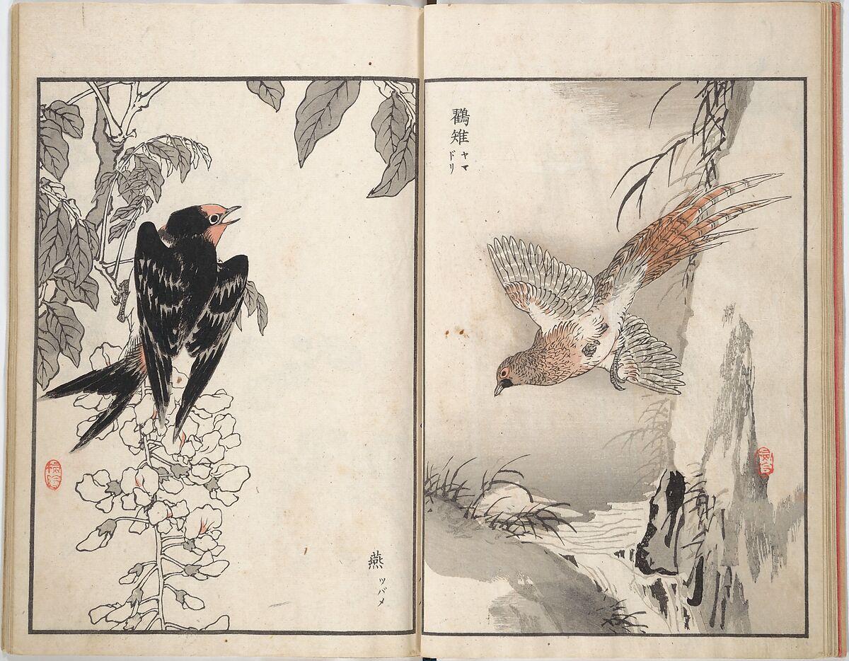 Bairei Picture Album of One Hundred Birds (Bairei hyakuchō gafu) 楳嶺百鳥畫譜, Kōno Bairei (Japanese, 1844–1895), Set of three woodblock printed books; ink and color on paper, Japan