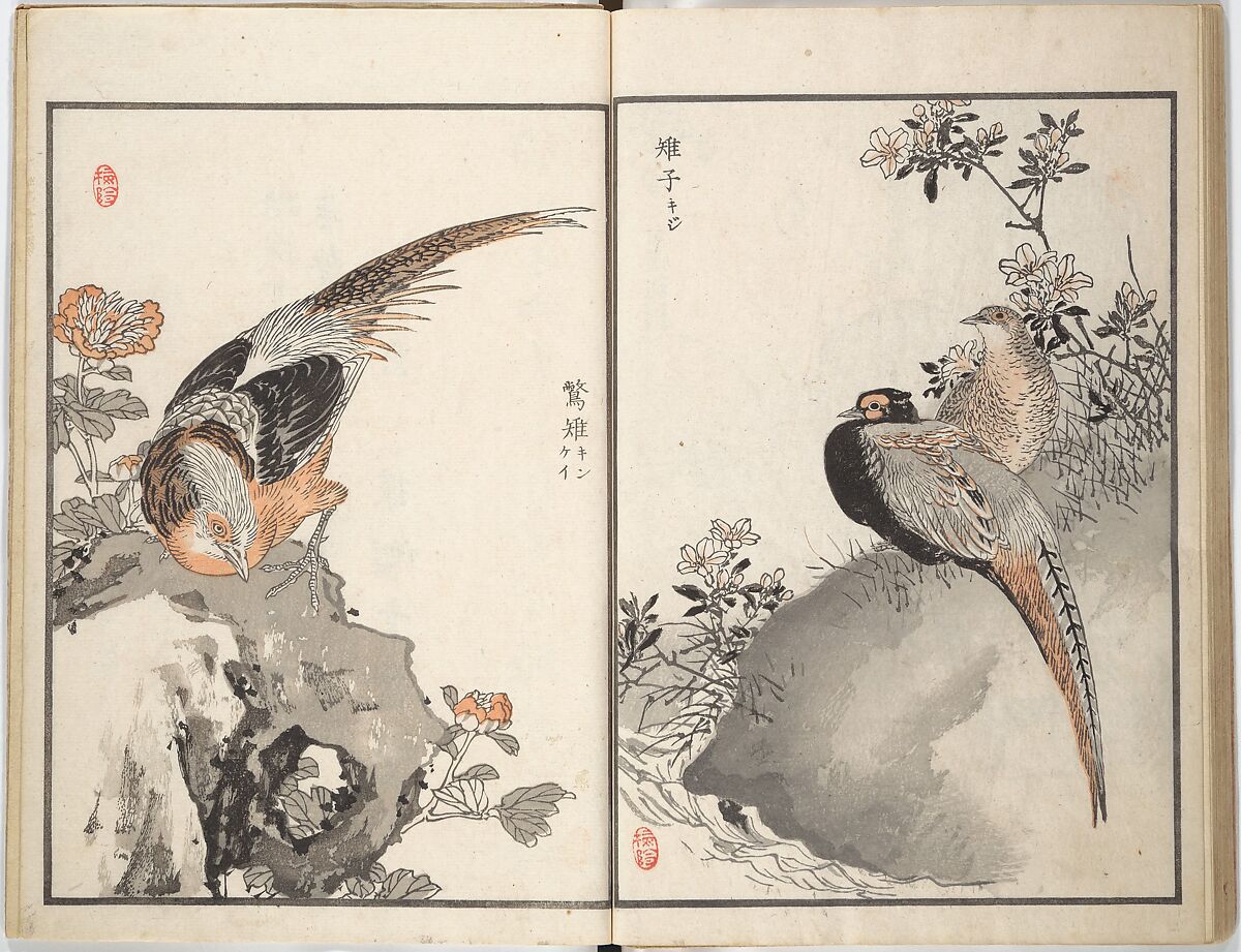 Bairei Picture Album of One Hundred Birds (Bairei hyakuchō gafu) 楳嶺百鳥畫譜, Kōno Bairei (Japanese, 1844–1895), Set of three woodblock printed books; ink and color on paper, Japan
