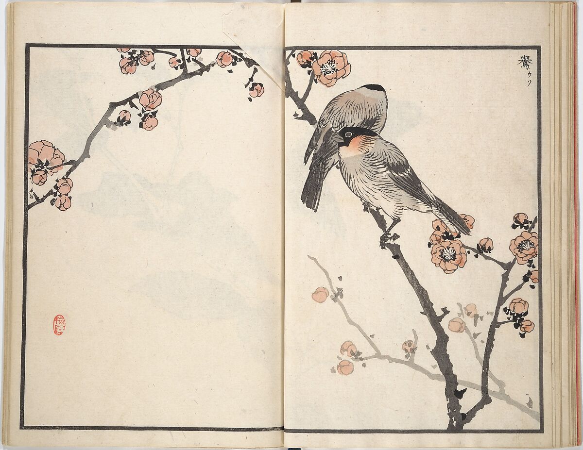 Bairei Picture Album of One Hundred Birds (Bairei hyakuchō gafu) 楳嶺百鳥畫譜, Kōno Bairei (Japanese, 1844–1895), Set of three woodblock printed books; ink and color on paper, Japan