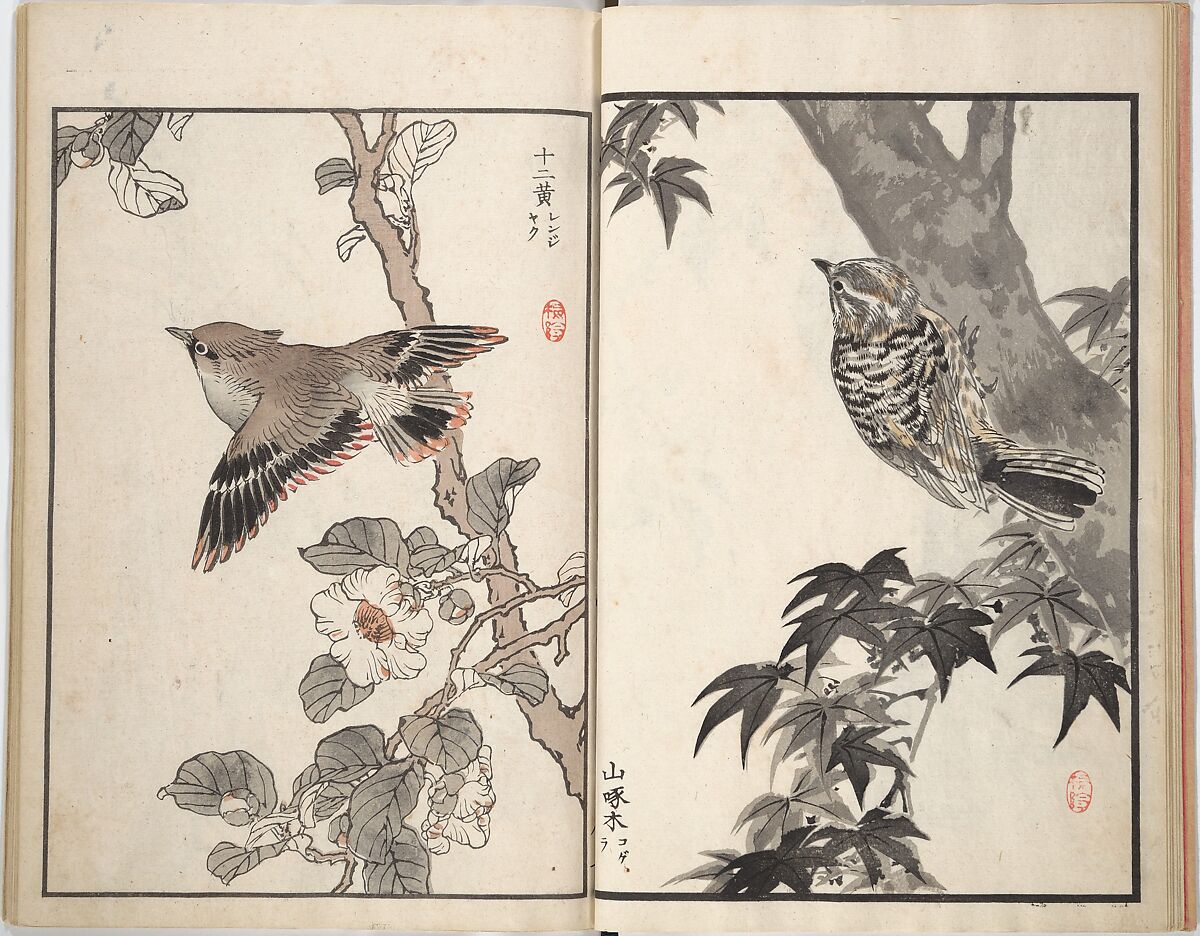 Bairei Picture Album of One Hundred Birds (Bairei hyakuchō gafu) 楳嶺百鳥畫譜, Kōno Bairei (Japanese, 1844–1895), Set of three woodblock printed books; ink and color on paper, Japan