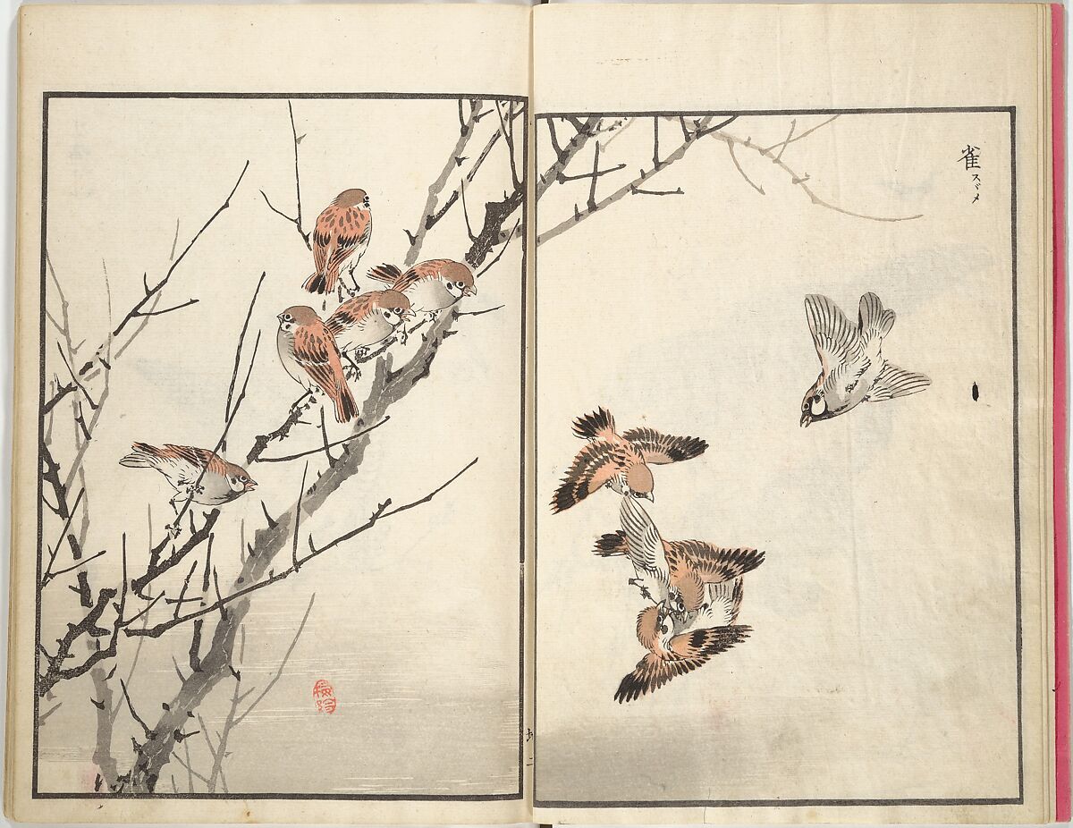Bairei Picture Album of One Hundred Birds (Bairei hyakuchō gafu) 楳嶺百鳥畫譜, Kōno Bairei (Japanese, 1844–1895), Set of three woodblock printed books; ink and color on paper, Japan