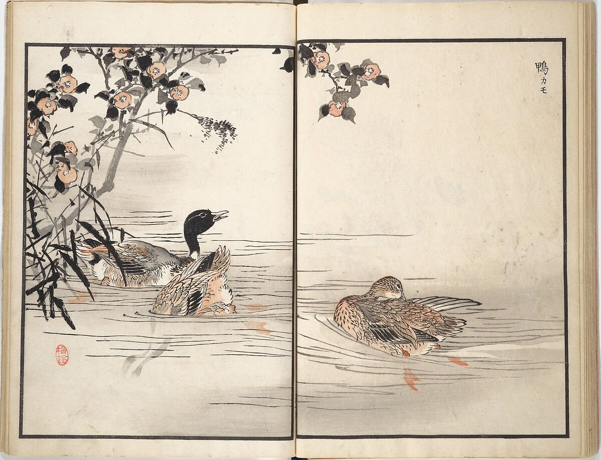 Bairei Picture Album of One Hundred Birds (Bairei hyakuchō gafu) 楳嶺百鳥畫譜, Kōno Bairei (Japanese, 1844–1895), Set of three woodblock printed books; ink and color on paper, Japan