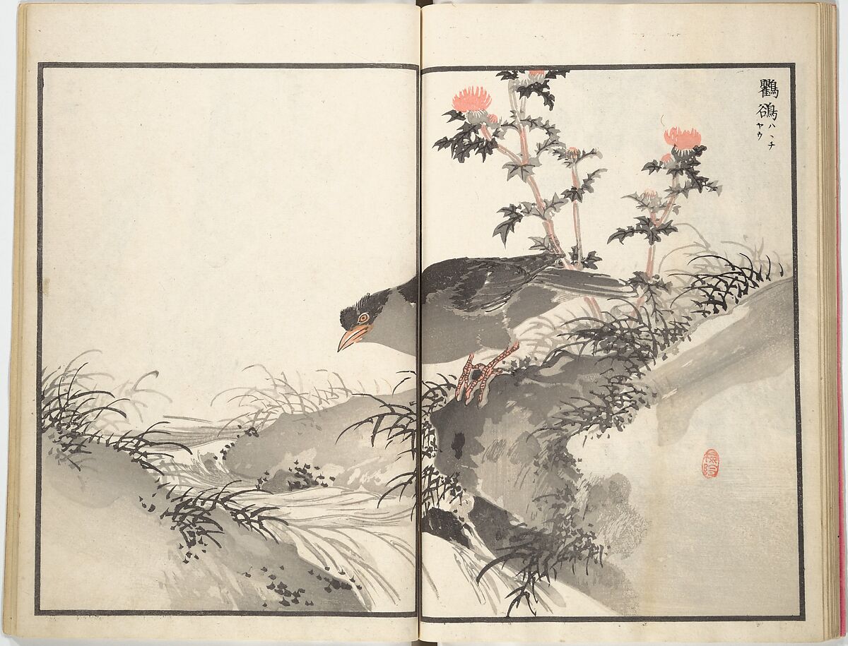Bairei Picture Album of One Hundred Birds (Bairei hyakuchō gafu) 楳嶺百鳥畫譜, Kōno Bairei (Japanese, 1844–1895), Set of three woodblock printed books; ink and color on paper, Japan