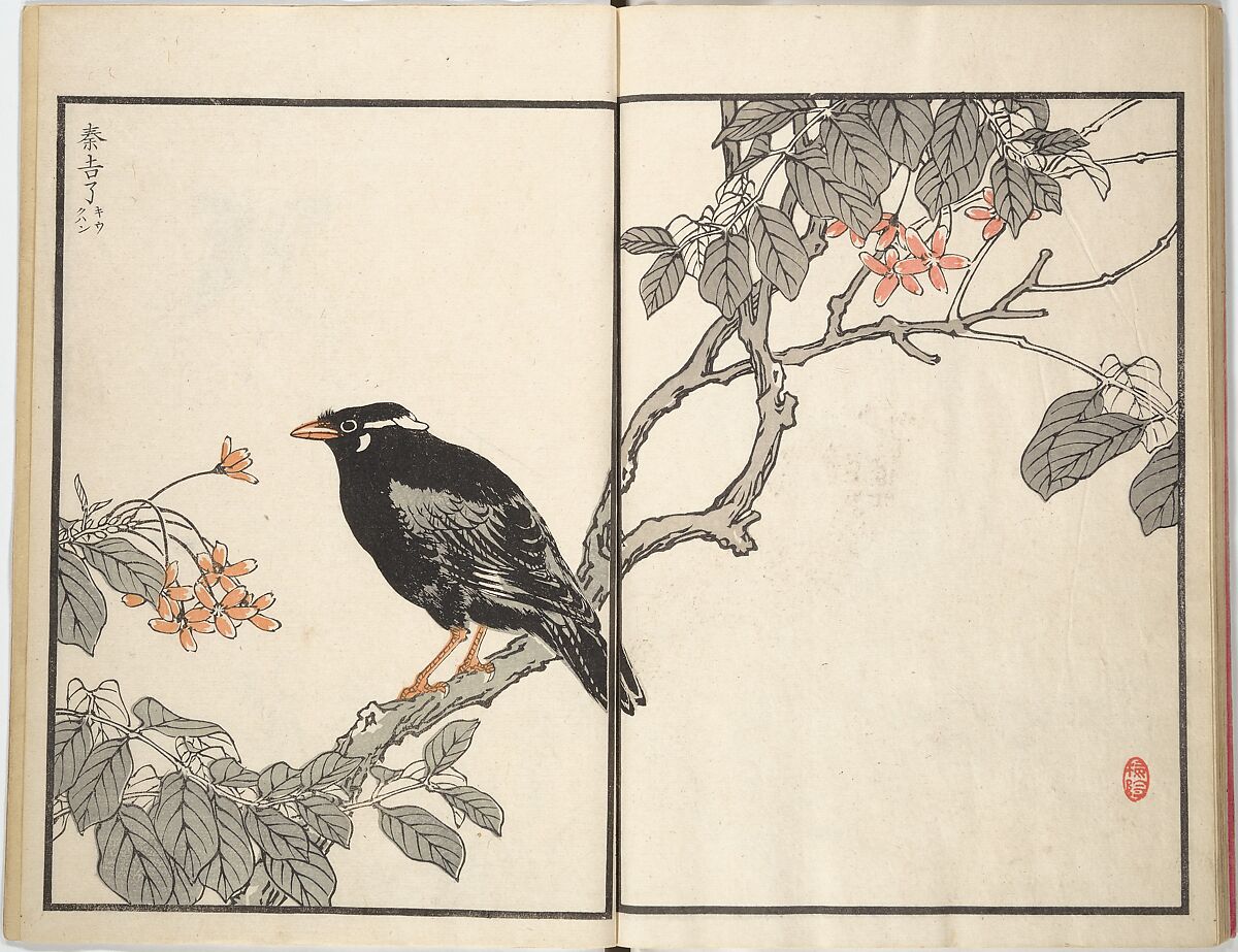 Bairei Picture Album of One Hundred Birds (Bairei hyakuchō gafu) 楳嶺百鳥畫譜, Kōno Bairei (Japanese, 1844–1895), Set of three woodblock printed books; ink and color on paper, Japan