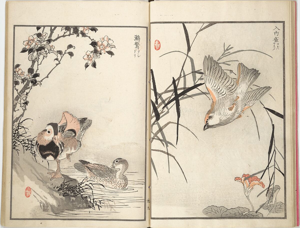 Bairei Picture Album of One Hundred Birds (Bairei hyakuchō gafu) 楳嶺百鳥畫譜, Kōno Bairei (Japanese, 1844–1895), Set of three woodblock printed books; ink and color on paper, Japan