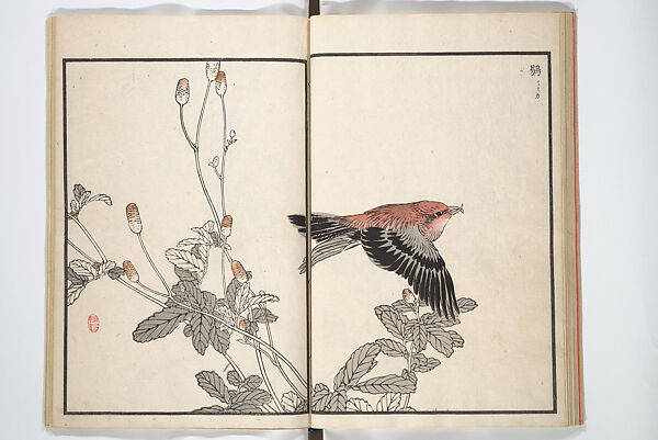 Bairei Picture Album of One Hundred Birds (Bairei hyakuchō gafu) 楳嶺百鳥畫譜