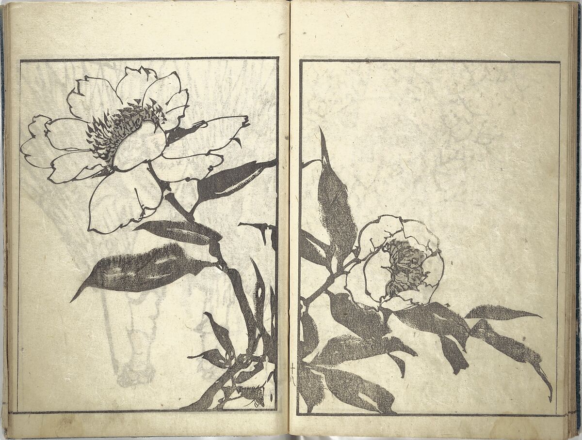 Bunpō Picture Album (Bunpō gafu) 文鳳画譜, First Series, Kawamura Bunpō 河村文鳳 (Japanese, 1779–1821), Set of three woodblock printed books; ink and color on paper, Japan