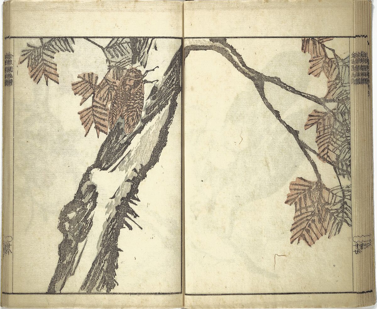 Kinpaen (Bunpō) Picture Album (Kinpaen gafu) 金波園画譜, Kawamura Bunpō 河村文鳳 (Japanese, 1779–1821), Woodblock printed book; ink and color on paper, Japan