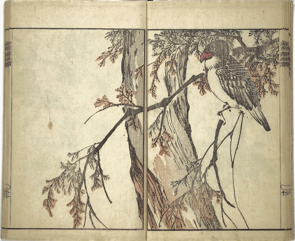Kinpaen (Bunpō) Picture Album (Kinpaen gafu) 金波園画譜, Kawamura Bunpō 河村文鳳 (Japanese, 1779–1821), Woodblock printed book; ink and color on paper, Japan