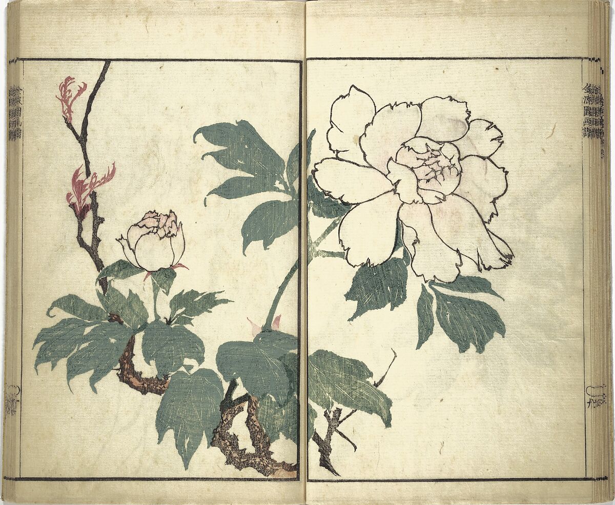 Kinpaen (Bunpō) Picture Album (Kinpaen gafu) 金波園画譜, Kawamura Bunpō 河村文鳳 (Japanese, 1779–1821), Woodblock printed book; ink and color on paper, Japan