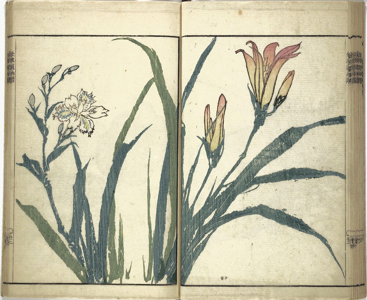 Kinpaen (Bunpō) Picture Album (Kinpaen gafu) 金波園画譜, Kawamura Bunpō 河村文鳳 (Japanese, 1779–1821), Woodblock printed book; ink and color on paper, Japan