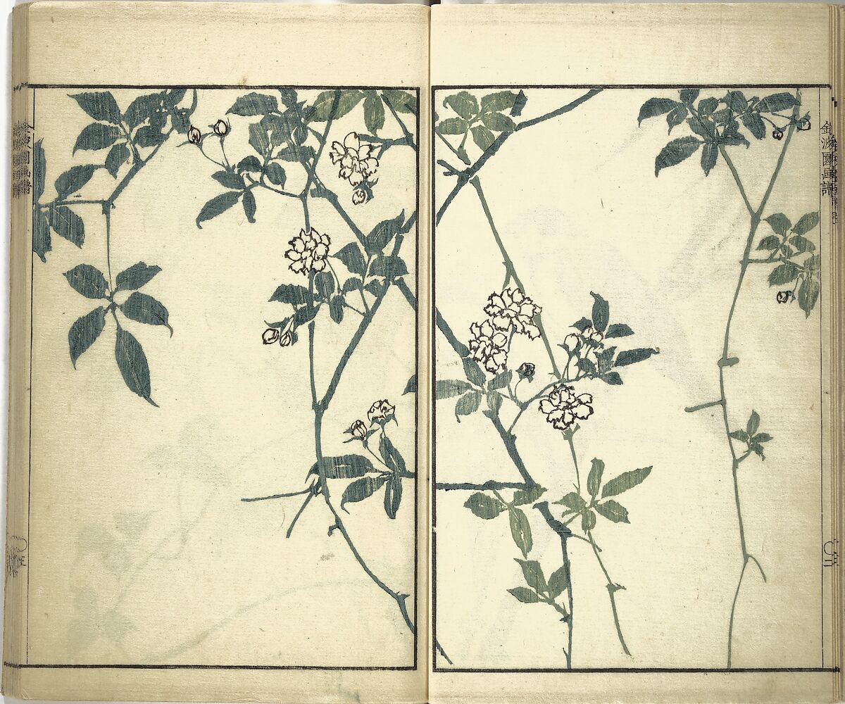 Kinpaen (Bunpō) Picture Album (Kinpaen gafu) 金波園画譜, Kawamura Bunpō 河村文鳳 (Japanese, 1779–1821), Woodblock printed book; ink and color on paper, Japan