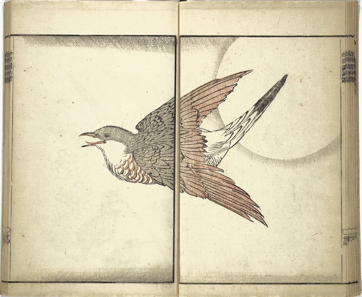 Kinpaen (Bunpō) Picture Album (Kinpaen gafu) 金波園画譜, Kawamura Bunpō 河村文鳳 (Japanese, 1779–1821), Woodblock printed book; ink and color on paper, Japan