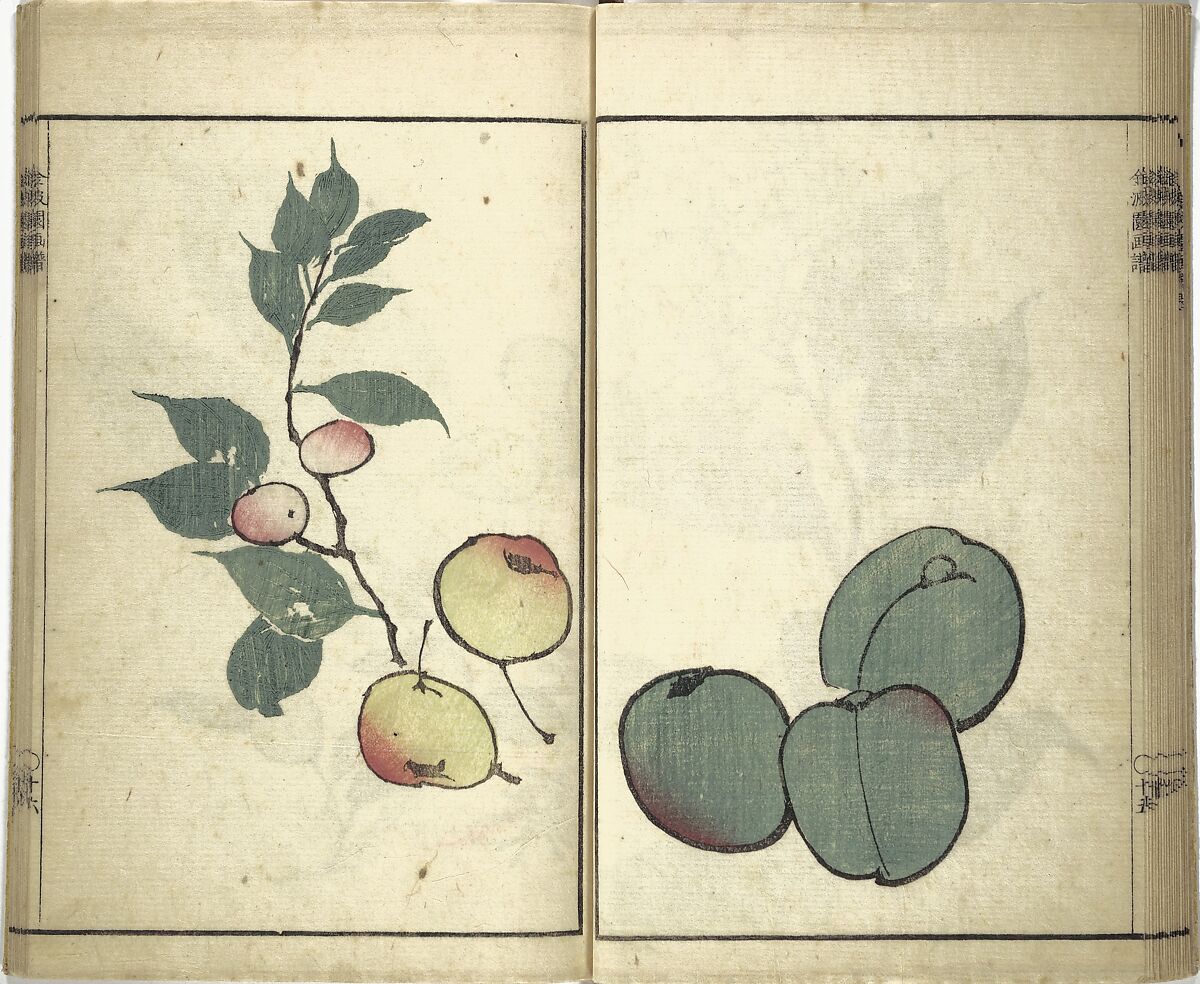 Kinpaen (Bunpō) Picture Album (Kinpaen gafu) 金波園画譜, Kawamura Bunpō 河村文鳳 (Japanese, 1779–1821), Woodblock printed book; ink and color on paper, Japan