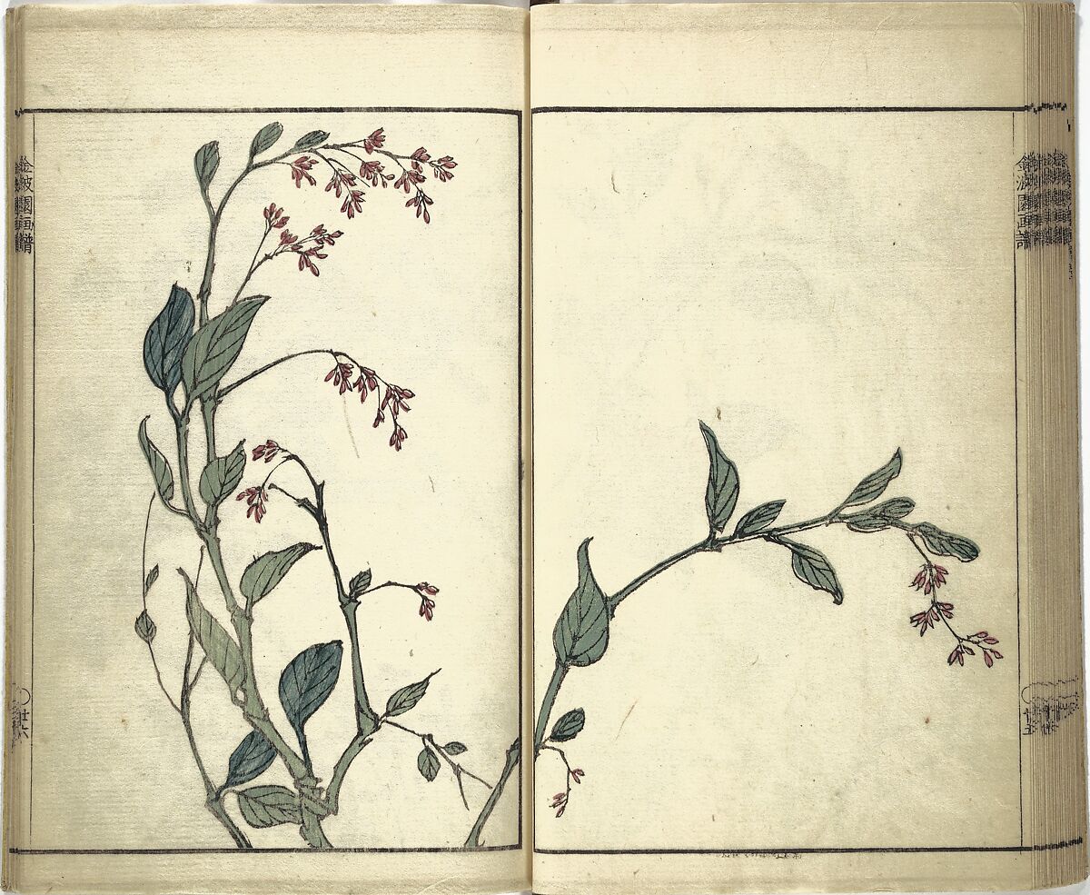 Kinpaen (Bunpō) Picture Album (Kinpaen gafu) 金波園画譜, Kawamura Bunpō 河村文鳳 (Japanese, 1779–1821), Woodblock printed book; ink and color on paper, Japan