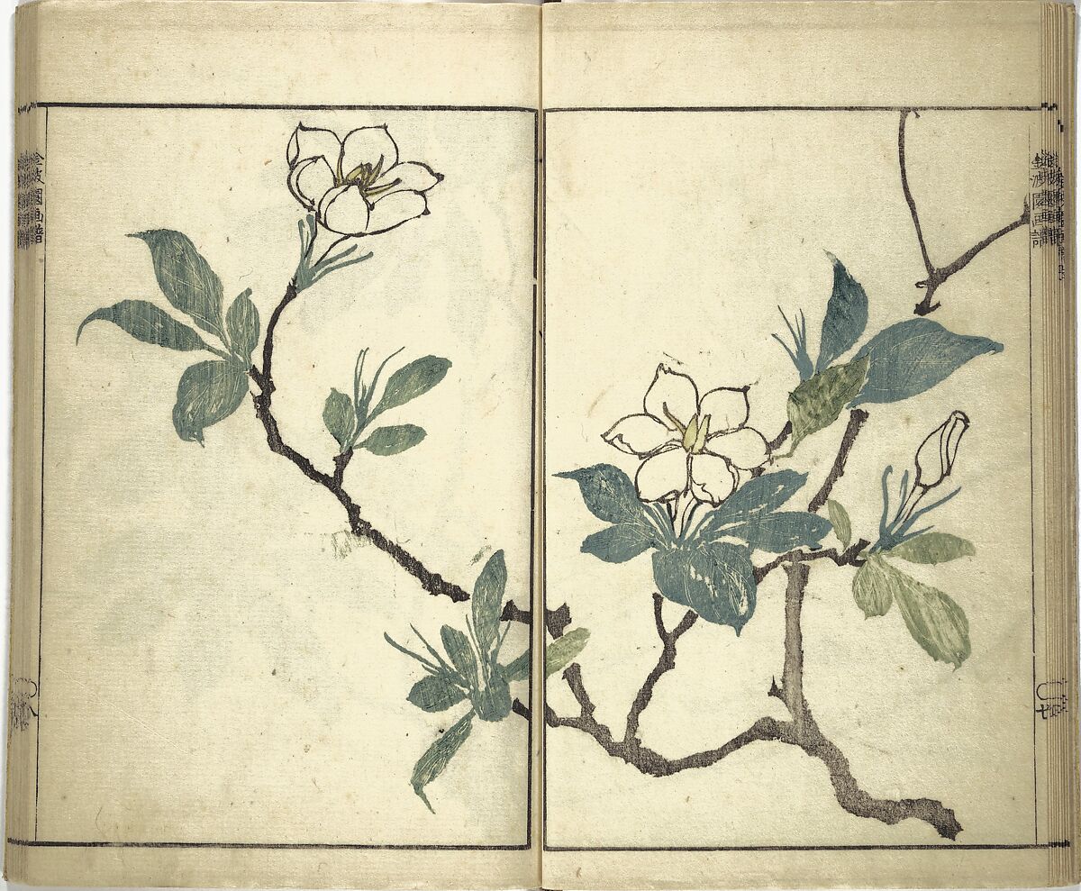 Kinpaen (Bunpō) Picture Album (Kinpaen gafu) 金波園画譜, Kawamura Bunpō 河村文鳳 (Japanese, 1779–1821), Woodblock printed book; ink and color on paper, Japan