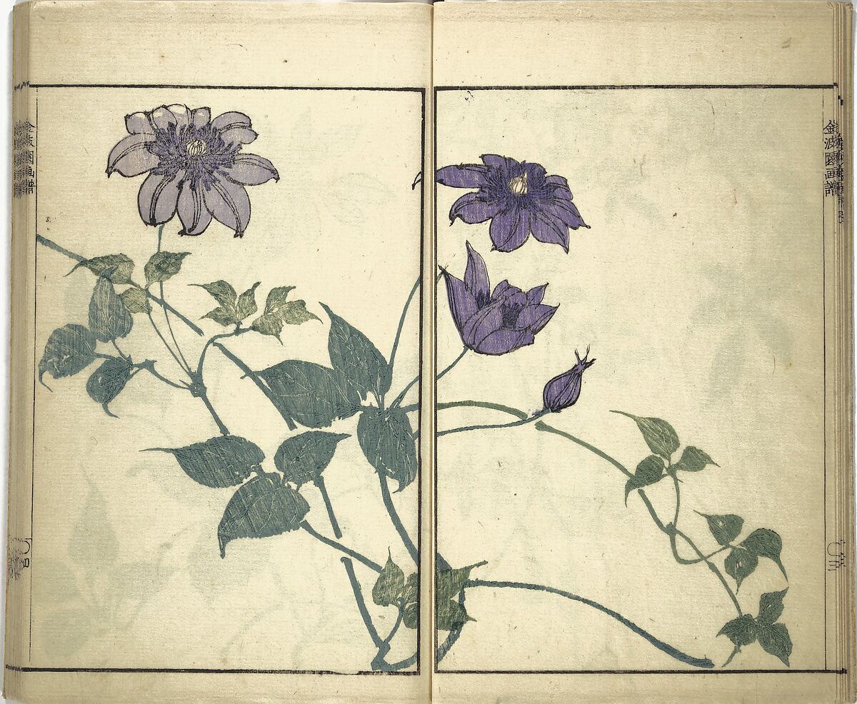 Kinpaen (Bunpō) Picture Album (Kinpaen gafu) 金波園画譜, Kawamura Bunpō 河村文鳳 (Japanese, 1779–1821), Woodblock printed book; ink and color on paper, Japan