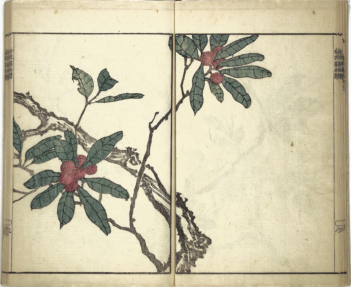 Kinpaen (Bunpō) Picture Album (Kinpaen gafu) 金波園画譜, Kawamura Bunpō 河村文鳳 (Japanese, 1779–1821), Woodblock printed book; ink and color on paper, Japan