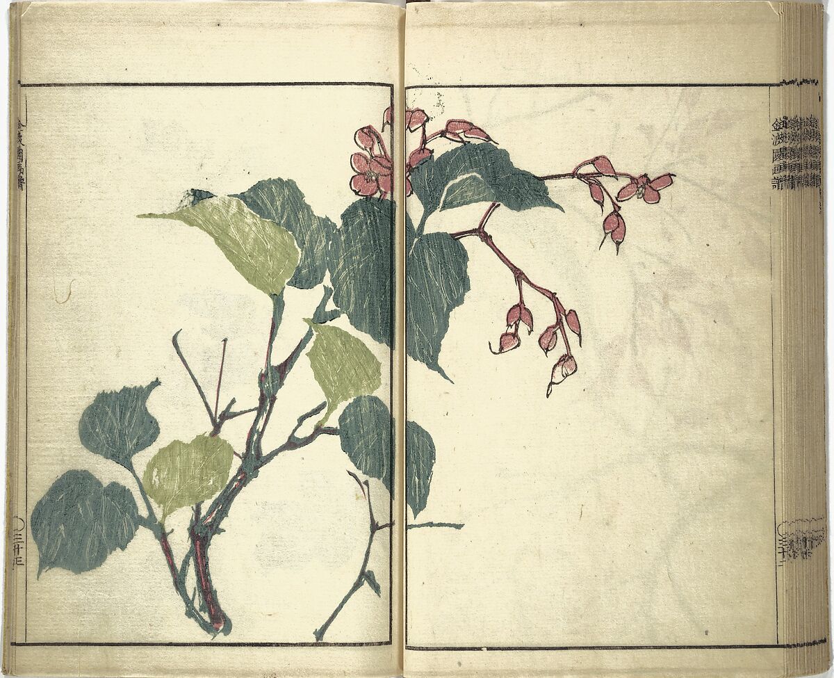 Kinpaen (Bunpō) Picture Album (Kinpaen gafu) 金波園画譜, Kawamura Bunpō 河村文鳳 (Japanese, 1779–1821), Woodblock printed book; ink and color on paper, Japan