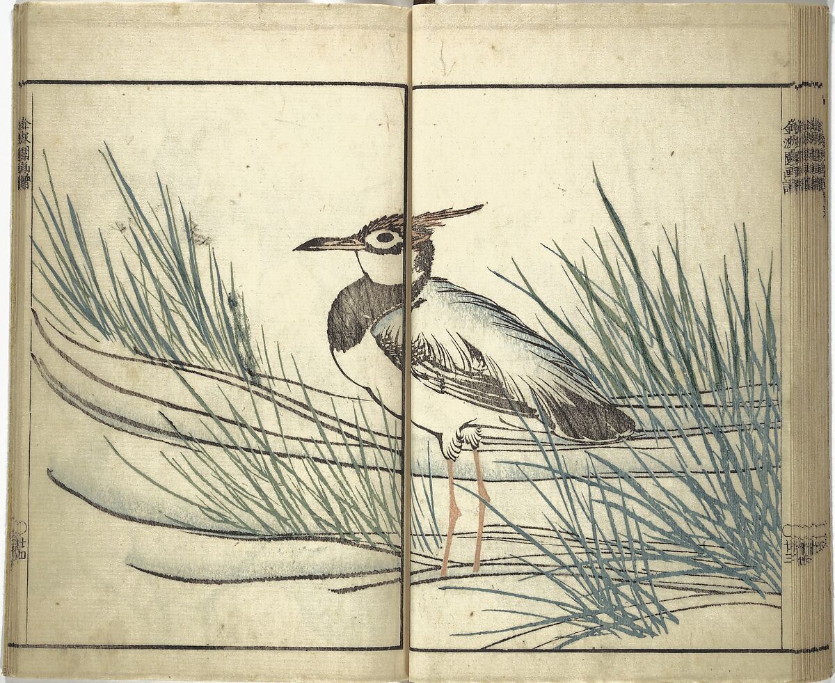 Kinpaen (Bunpō) Picture Album (Kinpaen gafu) 金波園画譜, Kawamura Bunpō 河村文鳳 (Japanese, 1779–1821), Woodblock printed book; ink and color on paper, Japan