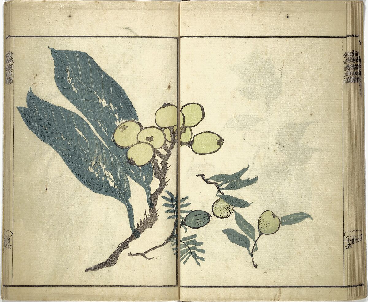 Kinpaen (Bunpō) Picture Album (Kinpaen gafu) 金波園画譜, Kawamura Bunpō 河村文鳳 (Japanese, 1779–1821), Woodblock printed book; ink and color on paper, Japan