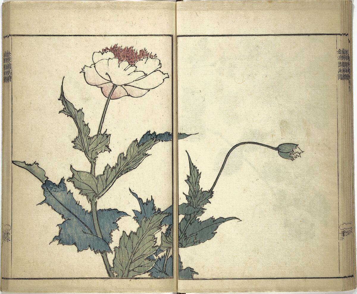 Kinpaen (Bunpō) Picture Album (Kinpaen gafu) 金波園画譜, Kawamura Bunpō 河村文鳳 (Japanese, 1779–1821), Woodblock printed book; ink and color on paper, Japan