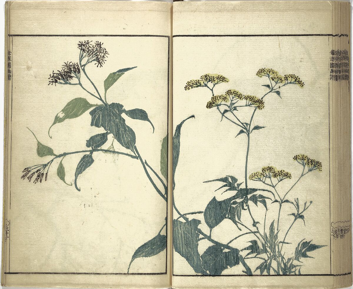 Kinpaen (Bunpō) Picture Album (Kinpaen gafu) 金波園画譜, Kawamura Bunpō 河村文鳳 (Japanese, 1779–1821), Woodblock printed book; ink and color on paper, Japan