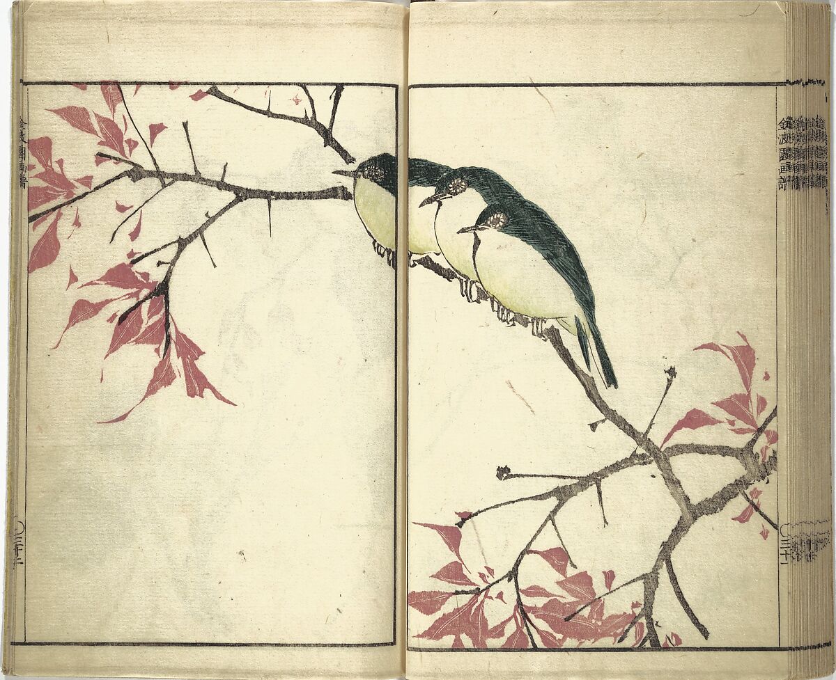 Kinpaen (Bunpō) Picture Album (Kinpaen gafu) 金波園画譜, Kawamura Bunpō 河村文鳳 (Japanese, 1779–1821), Woodblock printed book; ink and color on paper, Japan