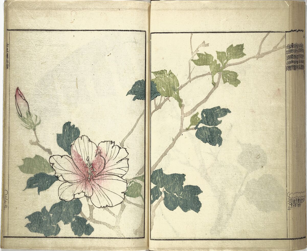 Kinpaen (Bunpō) Picture Album (Kinpaen gafu) 金波園画譜, Kawamura Bunpō 河村文鳳 (Japanese, 1779–1821), Woodblock printed book; ink and color on paper, Japan