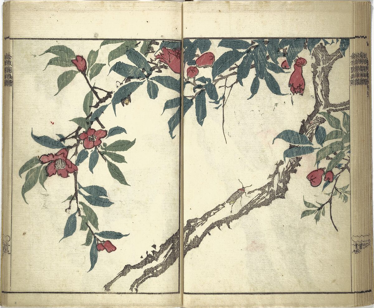 Kinpaen (Bunpō) Picture Album (Kinpaen gafu) 金波園画譜, Kawamura Bunpō 河村文鳳 (Japanese, 1779–1821), Woodblock printed book; ink and color on paper, Japan
