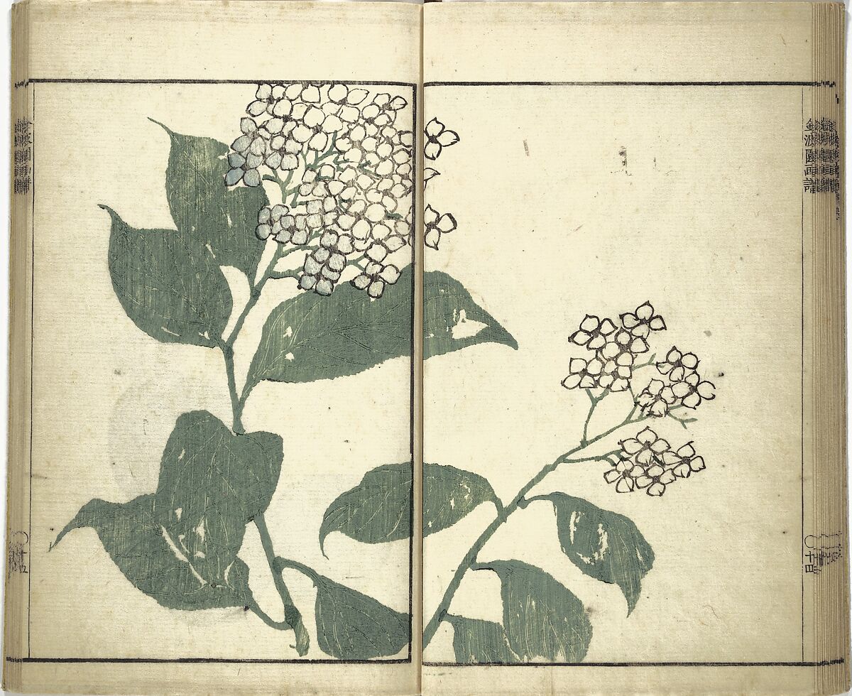 Kinpaen (Bunpō) Picture Album (Kinpaen gafu) 金波園画譜, Kawamura Bunpō 河村文鳳 (Japanese, 1779–1821), Woodblock printed book; ink and color on paper, Japan