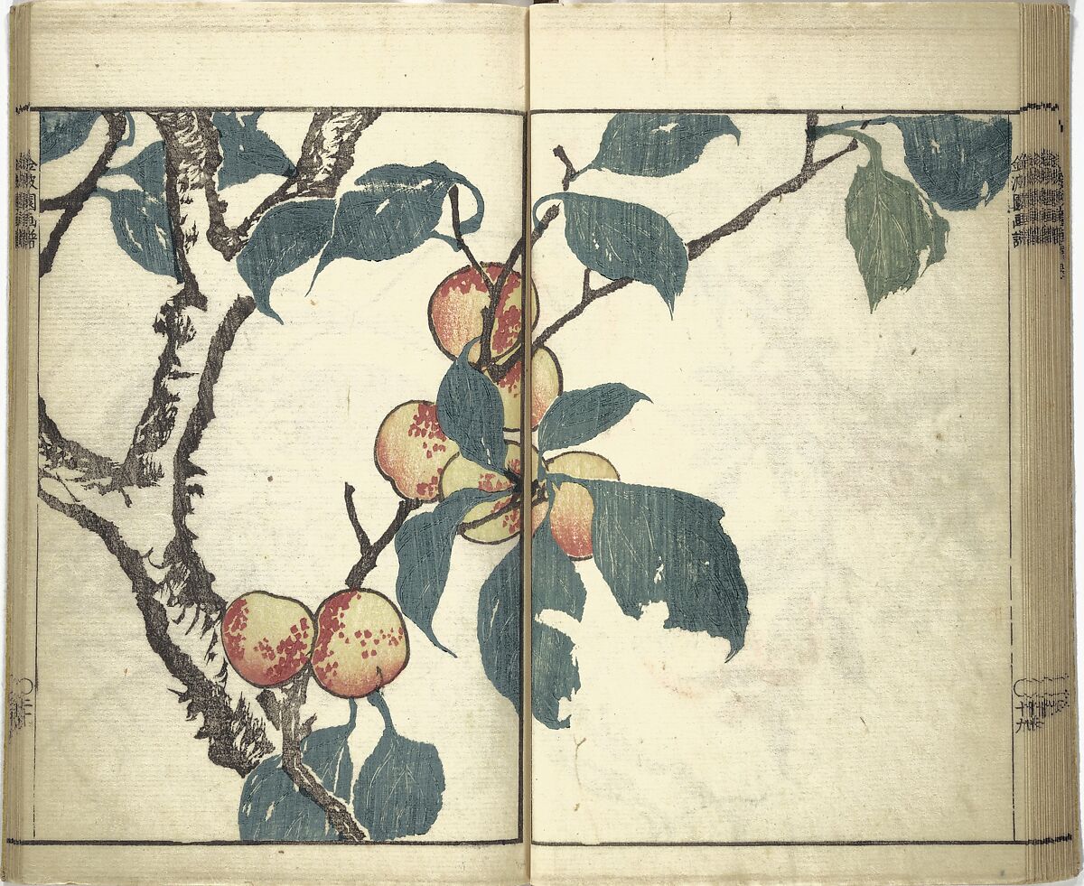 Kinpaen (Bunpō) Picture Album (Kinpaen gafu) 金波園画譜, Kawamura Bunpō 河村文鳳 (Japanese, 1779–1821), Woodblock printed book; ink and color on paper, Japan