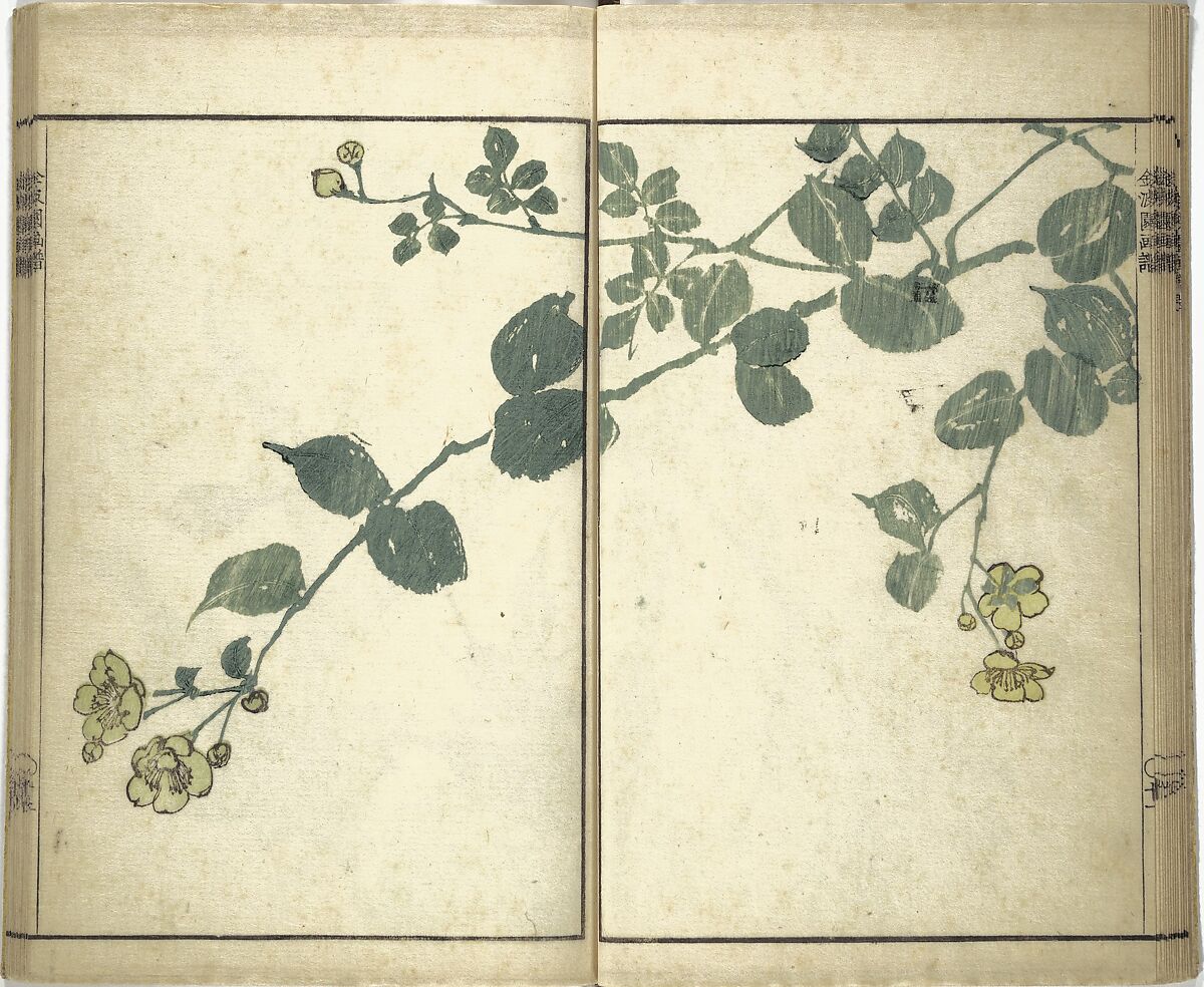 Kinpaen (Bunpō) Picture Album (Kinpaen gafu) 金波園画譜, Kawamura Bunpō 河村文鳳 (Japanese, 1779–1821), Woodblock printed book; ink and color on paper, Japan