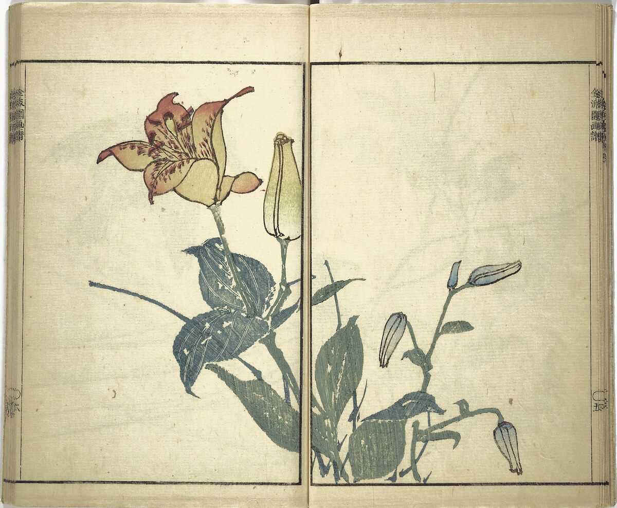 Kinpaen (Bunpō) Picture Album (Kinpaen gafu) 金波園画譜, Kawamura Bunpō 河村文鳳 (Japanese, 1779–1821), Woodblock printed book; ink and color on paper, Japan