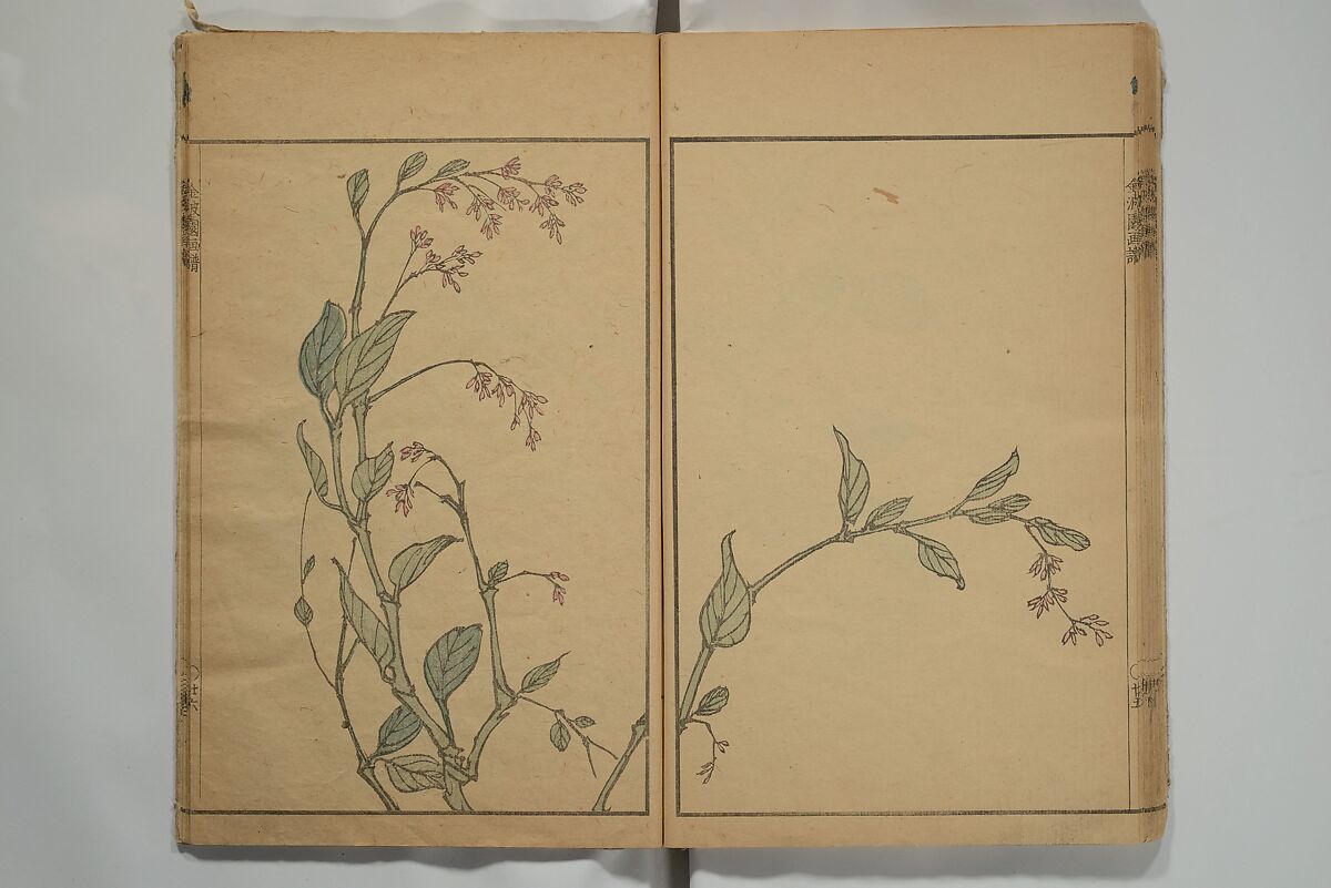 Kinpaen (Bunpō) Picture Album (Kinpaen gafu) 金波園画譜, Kawamura Bunpō 河村文鳳 (Japanese, 1779–1821), Woodblock printed book; ink and color on paper, Japan